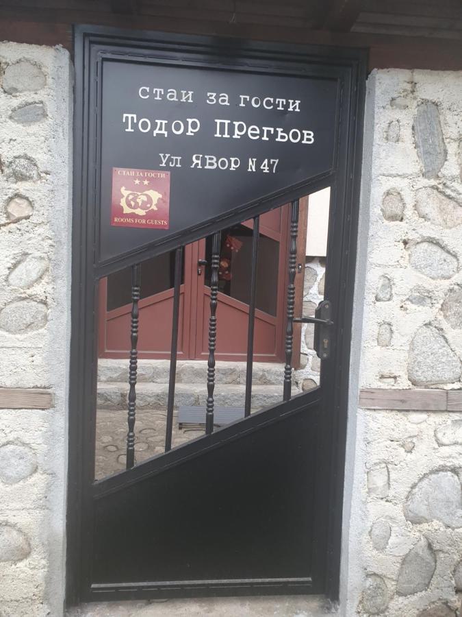 Тодор Прегьов بانسكو المظهر الخارجي الصورة